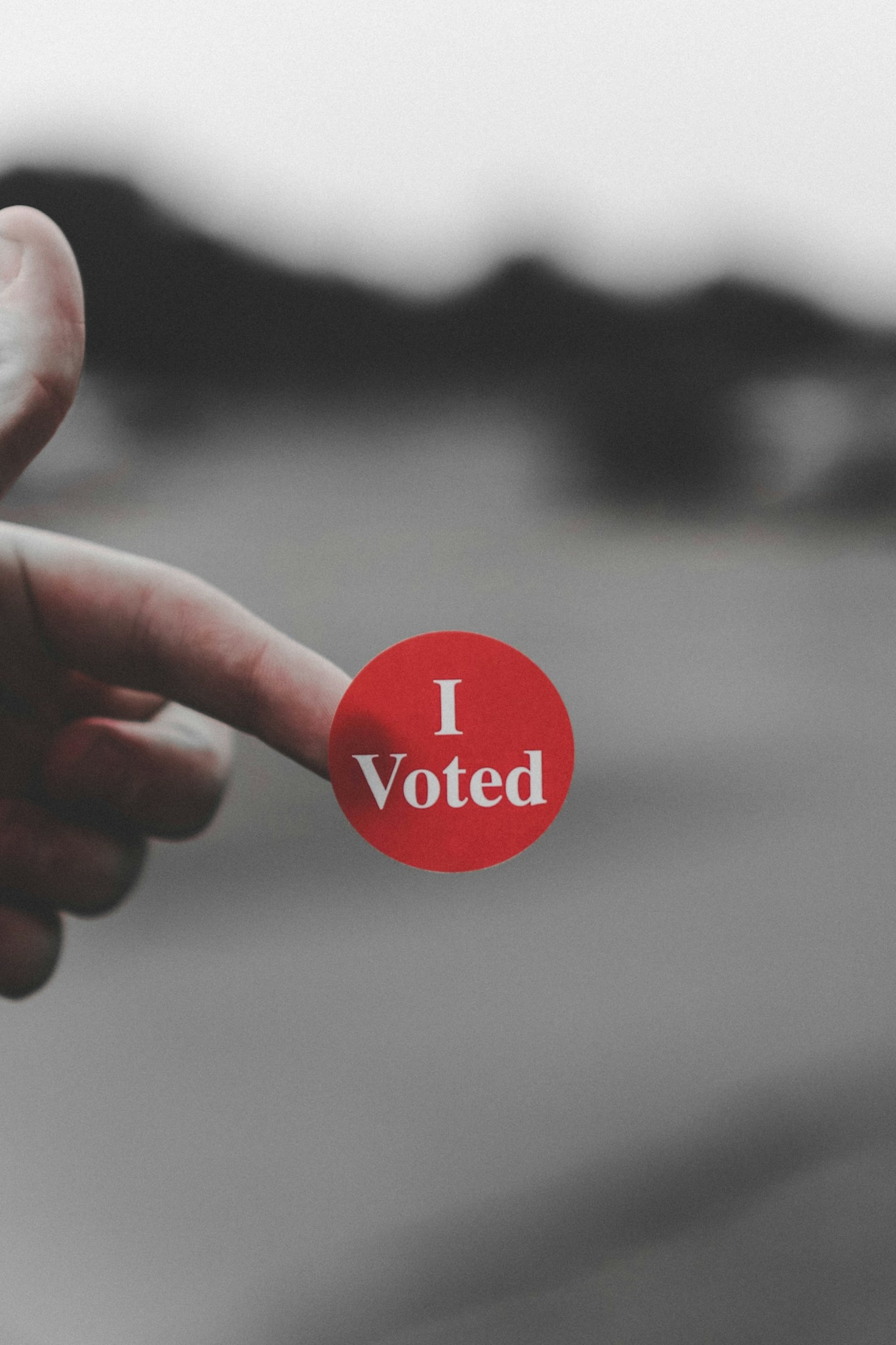 The Impact of Voter Education on Election Outcomes